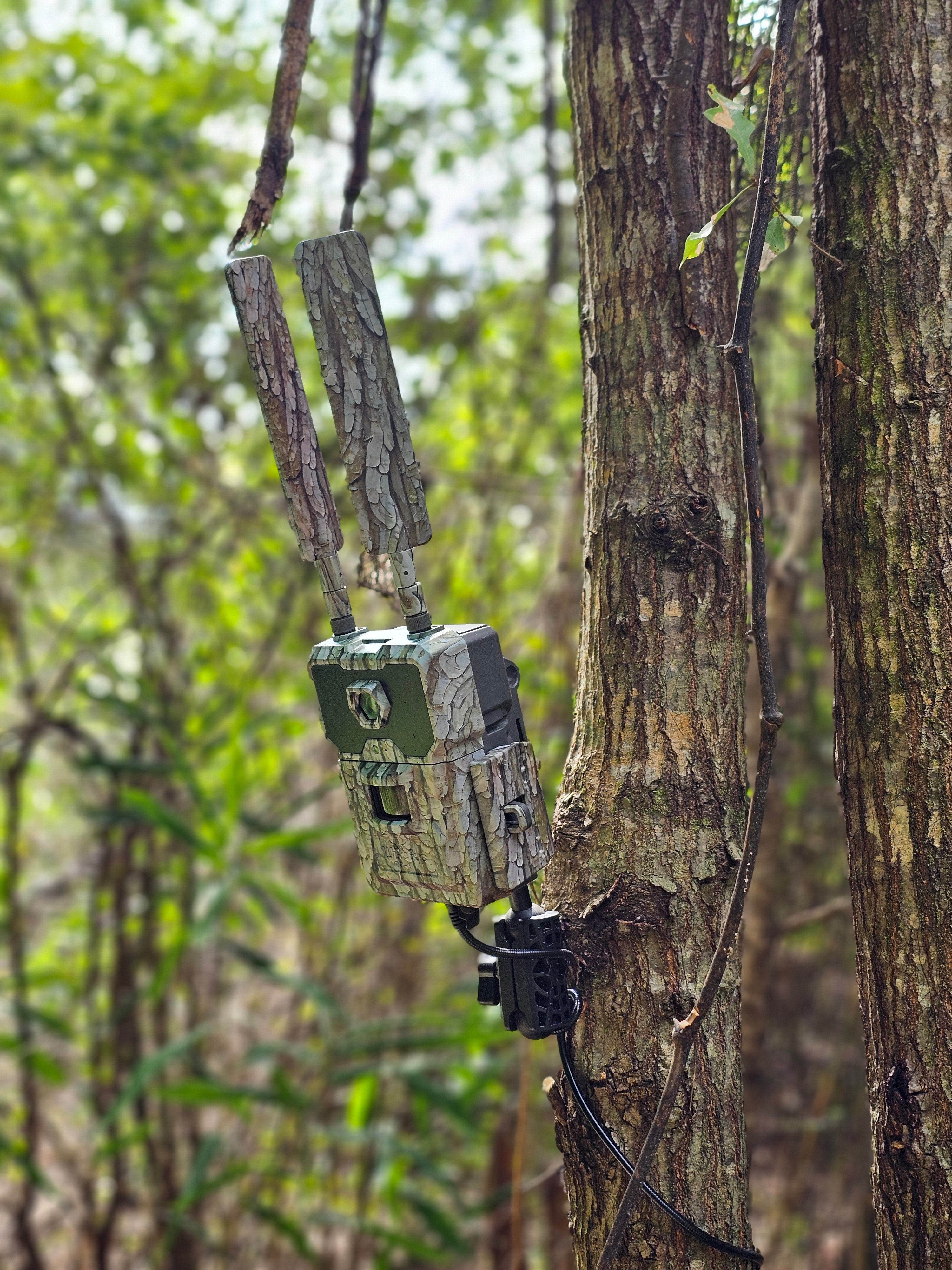 Tree Mount for Trail Camera Dual Ball Swivel