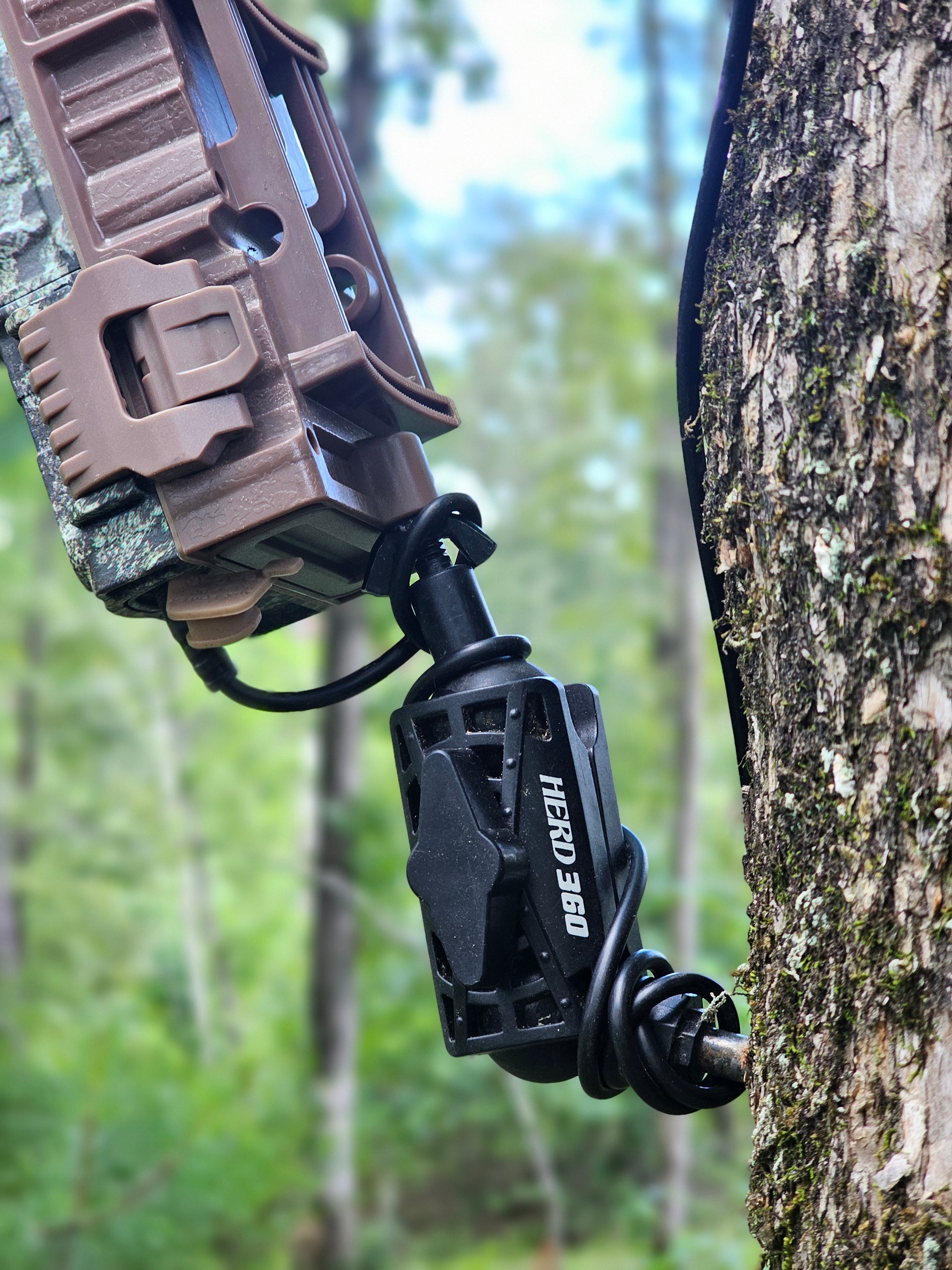 Tree Mount for Trail Camera Dual Ball Swivel