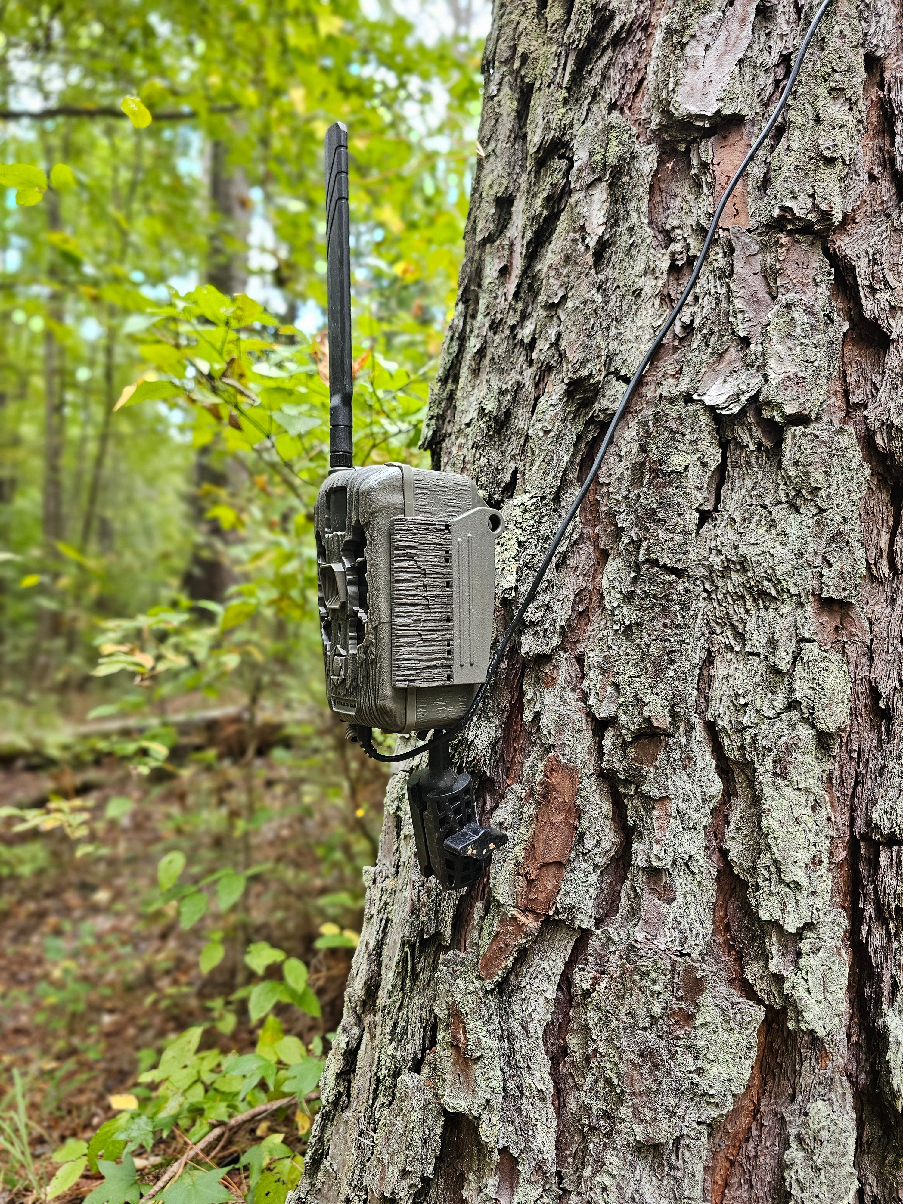 Tree Mount for Trail Camera Dual Ball Swivel