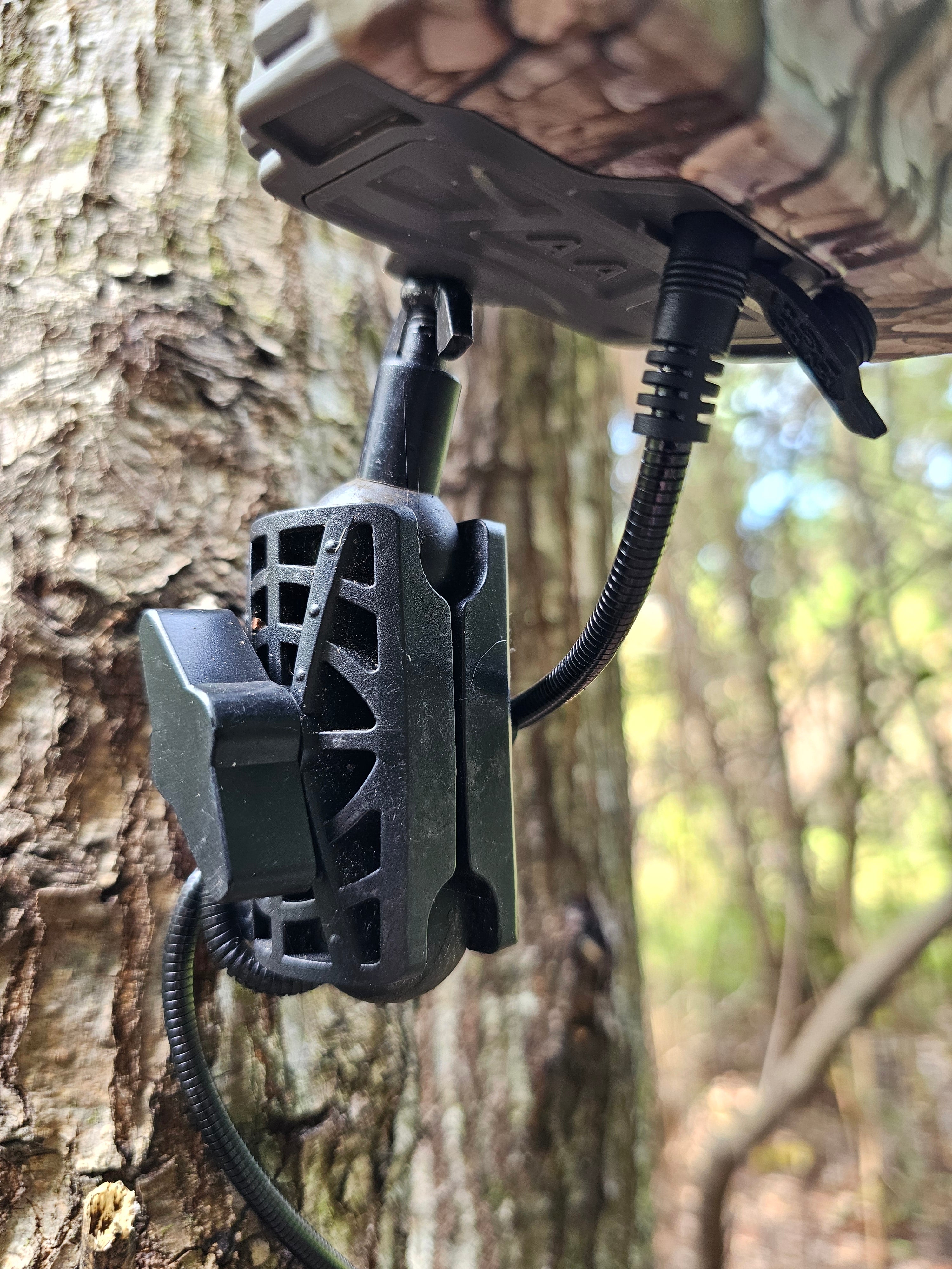 Tree Mount for Trail Camera Dual Ball Swivel