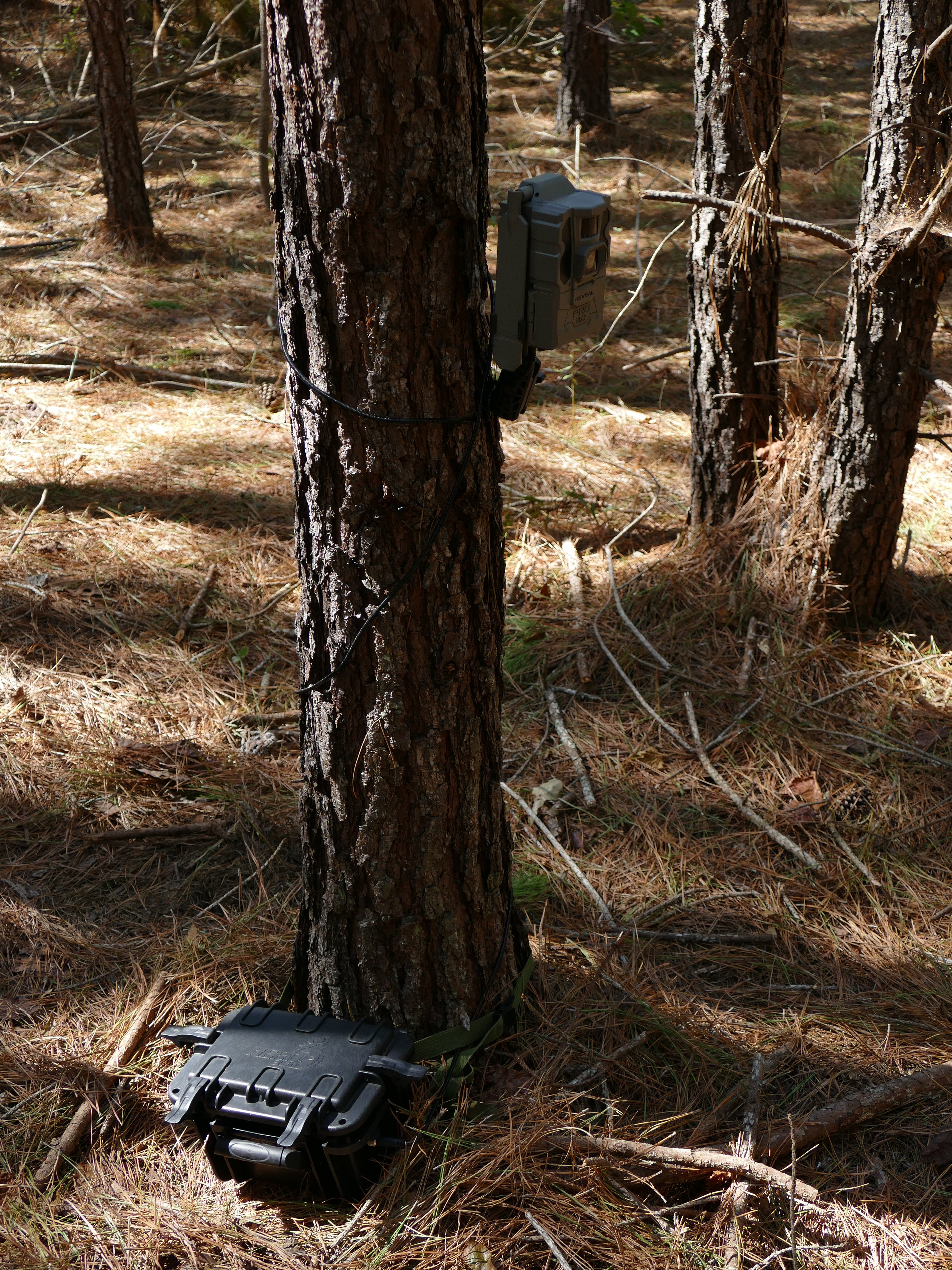 Elite Trail Camera 12v Battery Box by Herd 360