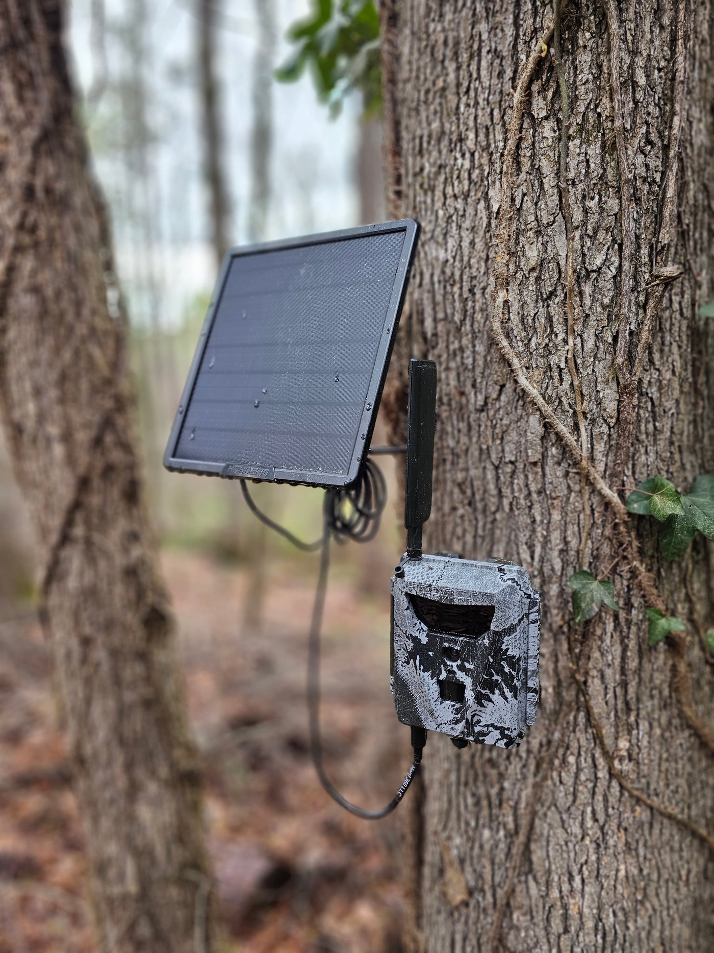 The Best Cellular Trail Cameras, Trail Cam Solar Power, Battery Boxes